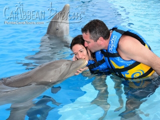 couple dolphin kiss