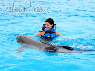 Dolphin Free Play