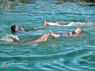 Pinwheel Dolphin Push
