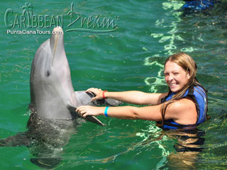 Dolphin Handshake
