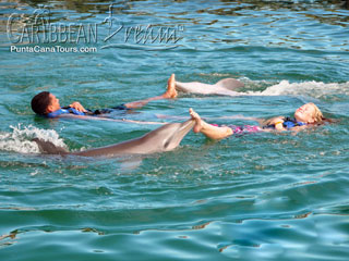 Dolphin Pinwheel Ride