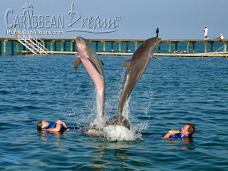 Double Dolphin Jump