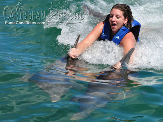 Dolphin Double Dorsal Ride