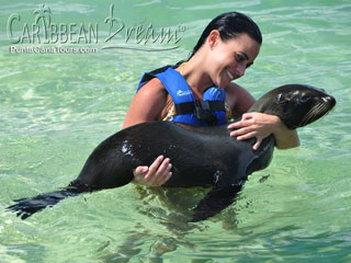 Petting a Fur Seal