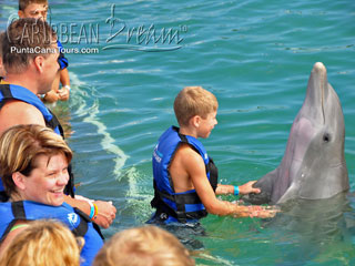 Dancing with a Dolphin