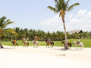 Punta Cana Horseback