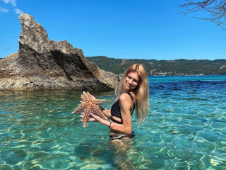 bacardi island starfish